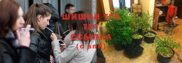 тгк Верхний Тагил