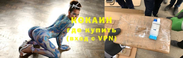 амф Верея