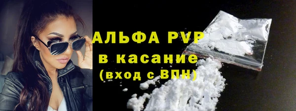 амф Верея