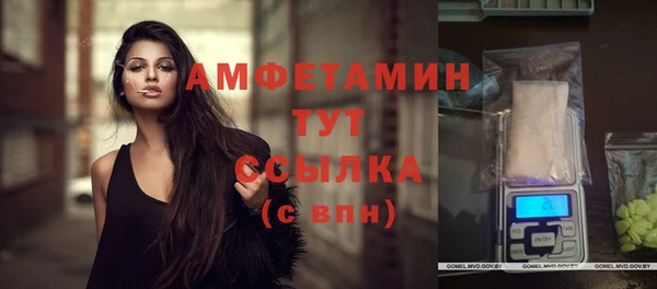 прущие грибы Верхнеуральск