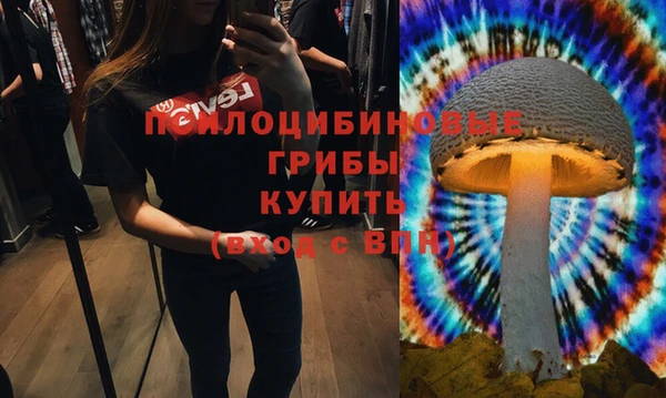 амф Верея