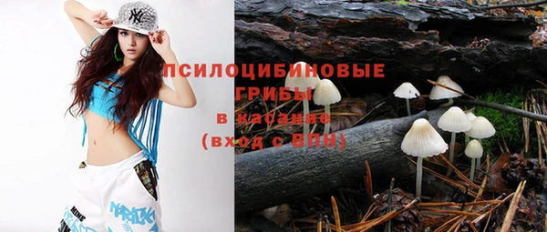 амф Верея