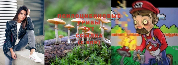 амф Верея