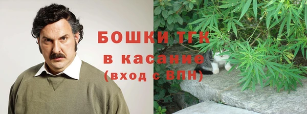 прущие грибы Верхнеуральск