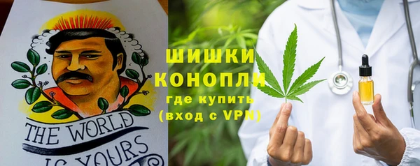 прущие грибы Верхнеуральск