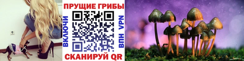 Псилоцибиновые грибы MAGIC MUSHROOMS  Когалым 